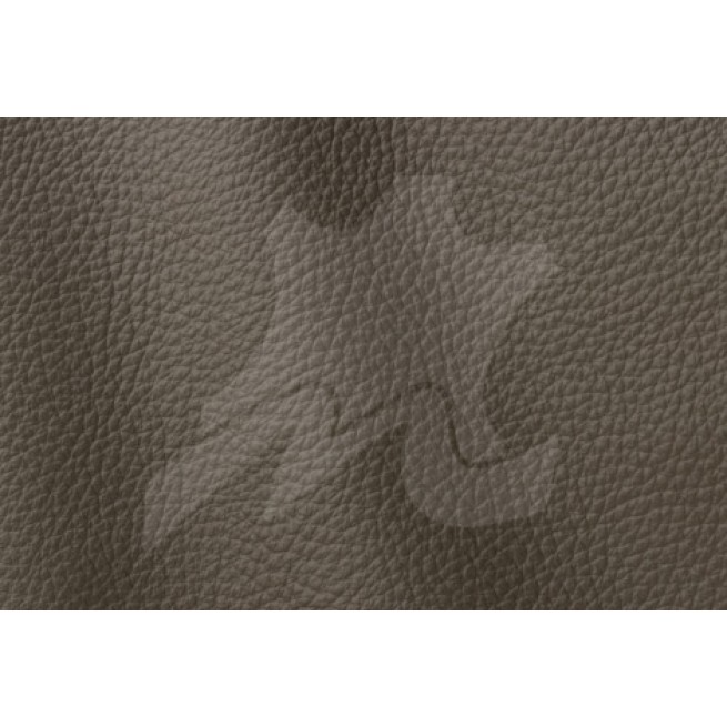 Aligo Group фото